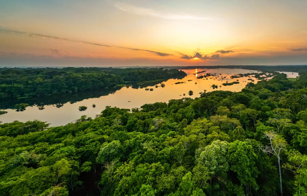 Imagem representativa do setor de Gestão Ambiental